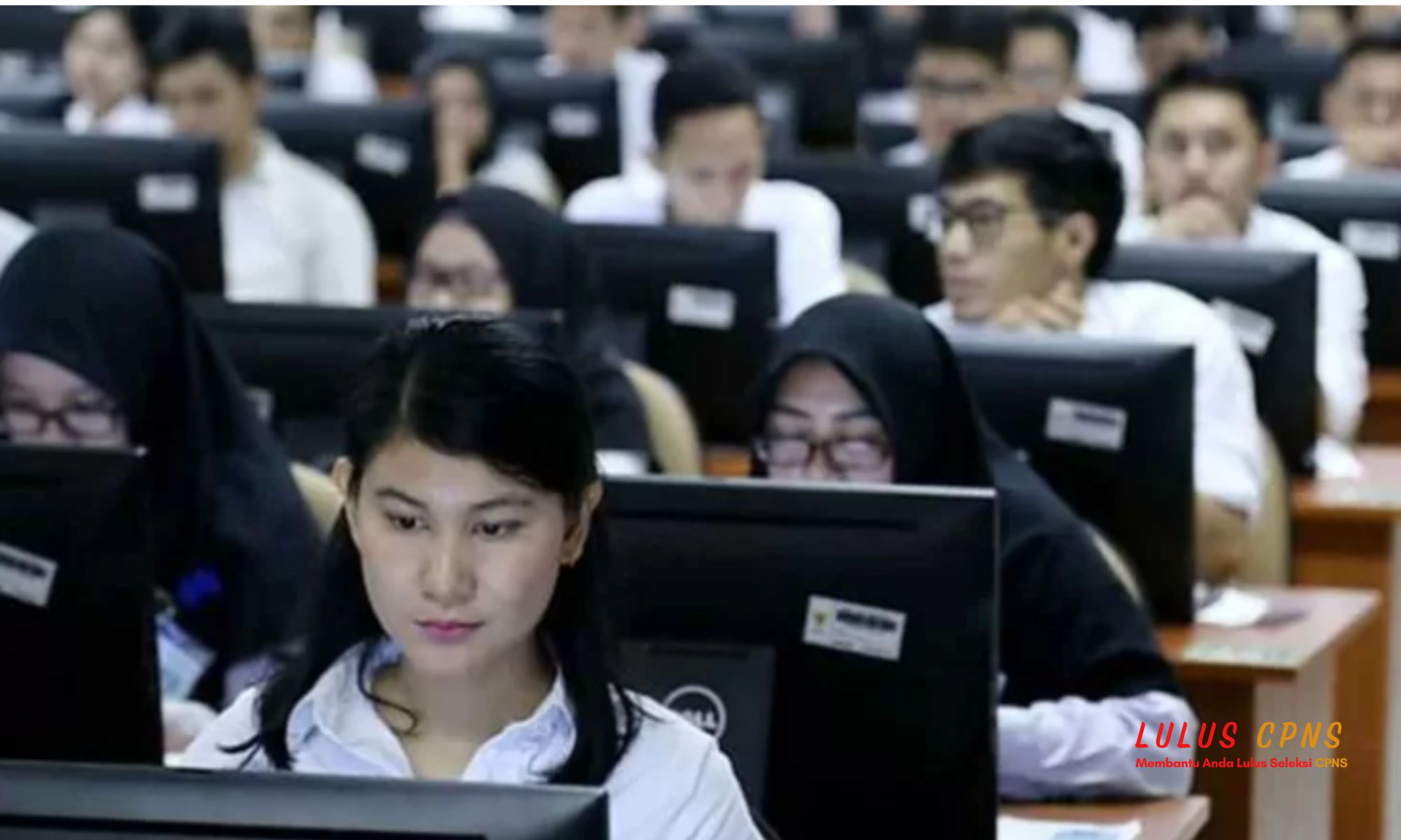 Info Terupdate CPNS Kemenkes